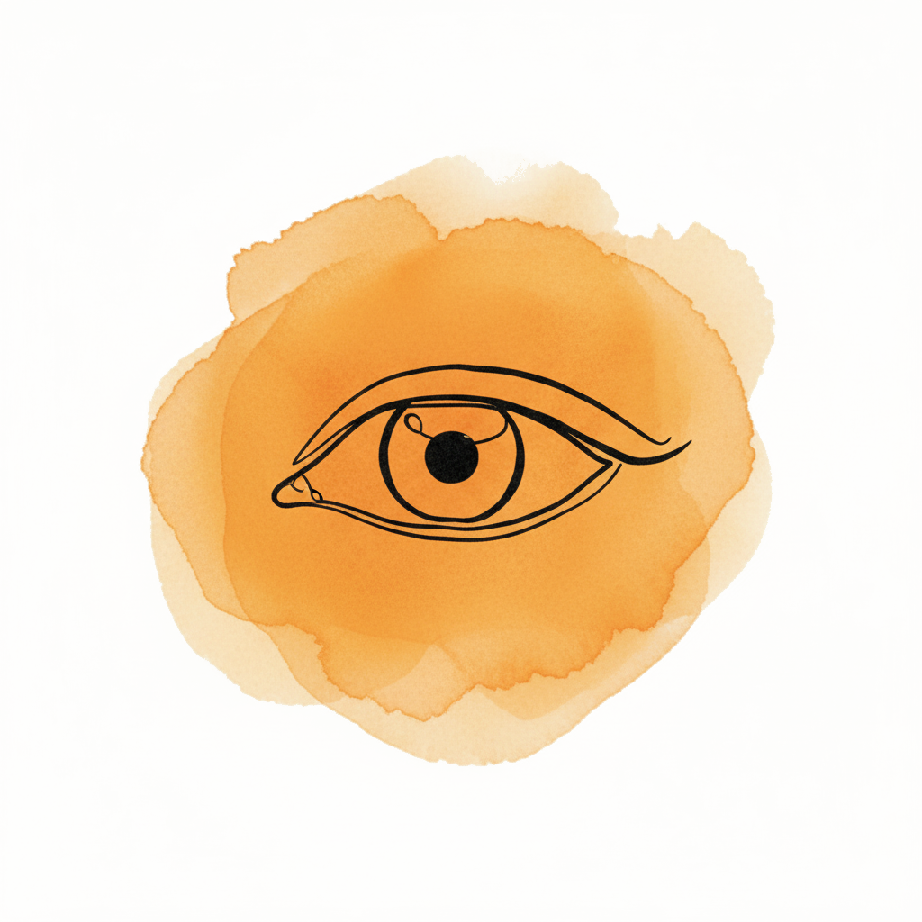 The Foundations of Mindfulness, light